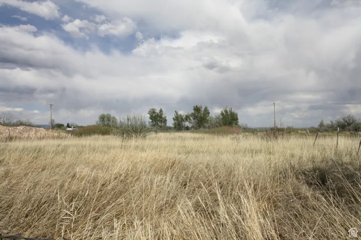 View of local wilderness with a rural view