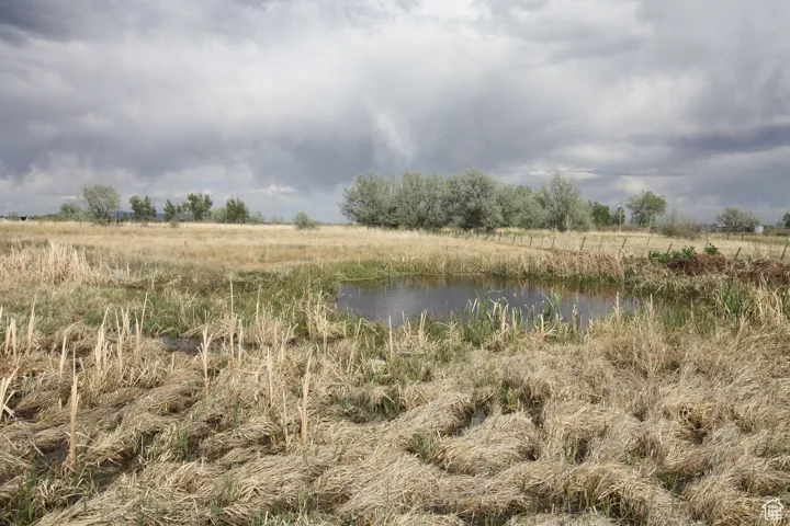 View of nature with a water view
