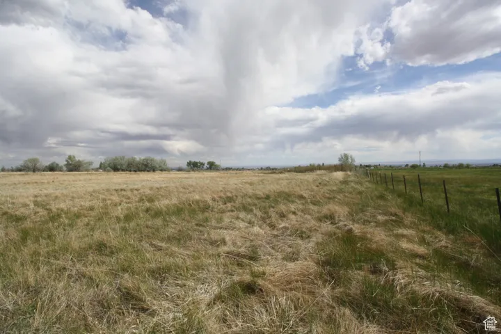 View of local wilderness featuring a rural view