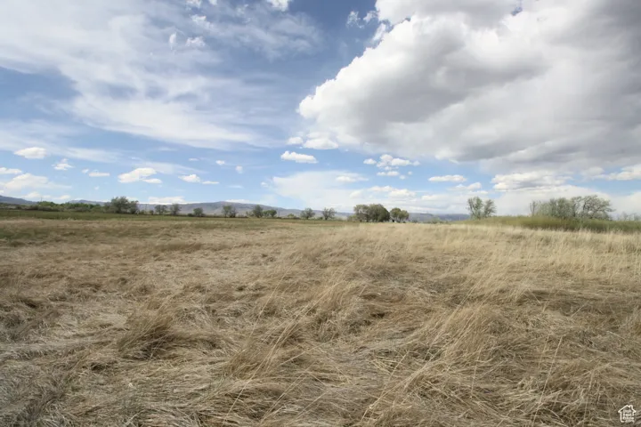 View of local wilderness with a rural view