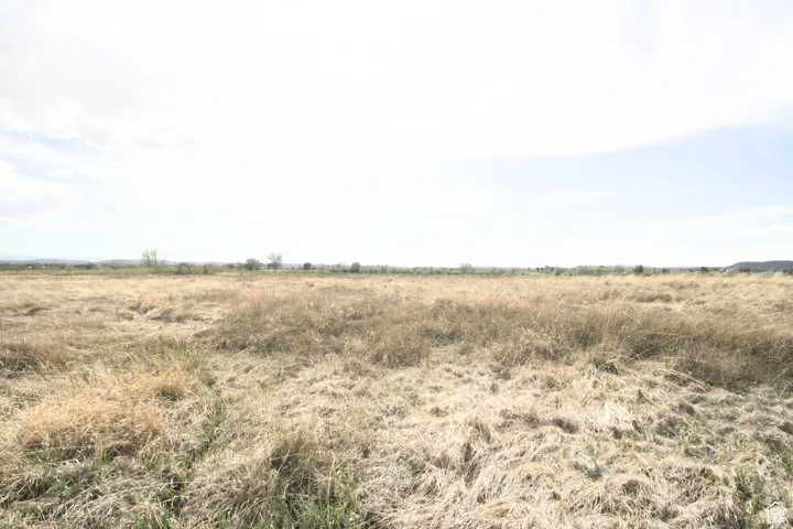 View of local wilderness with a rural view