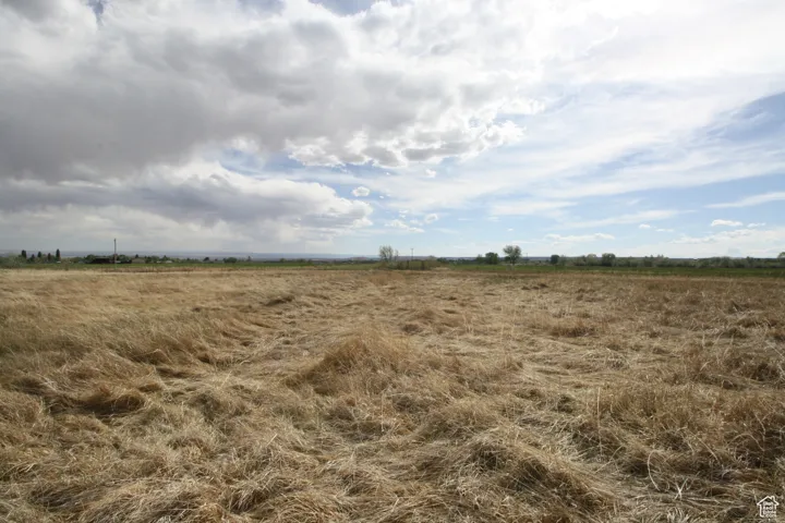 View of local wilderness with a rural view