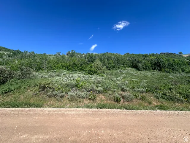 921 S Lakeview Dr, Garden City, Utah 84028