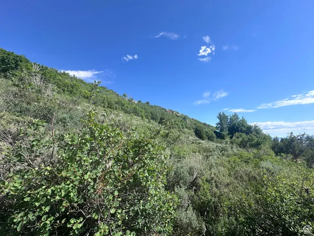 899 S Lakeview Dr, Garden City, Utah 84028