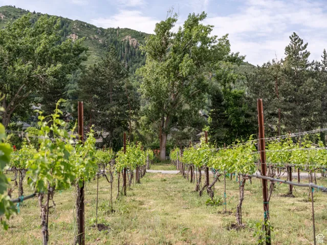 9677 S Quail Hill Ln, Sandy, Utah 84092