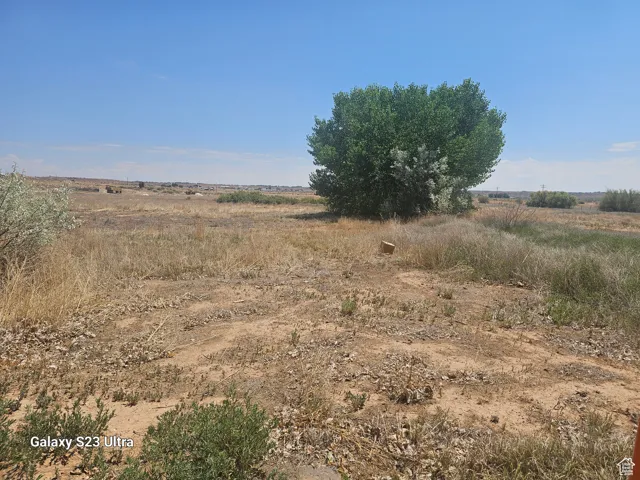 View of landscape featuring a rural view