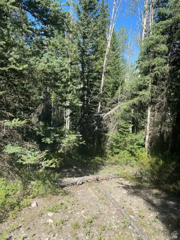 0, Duchesne, Utah 84021