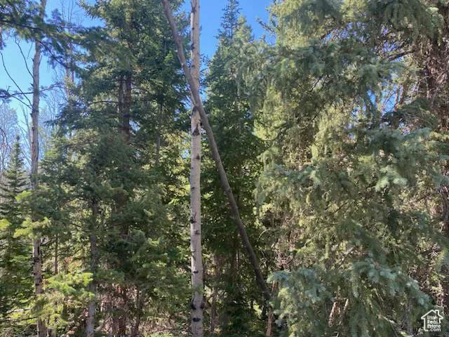 0, Duchesne, Utah 84021