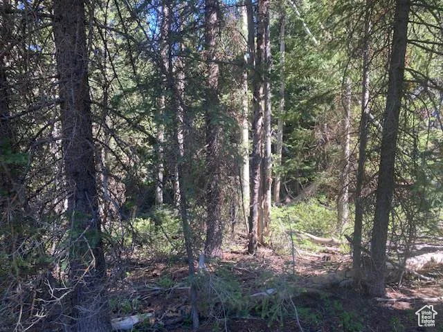 0, Duchesne, Utah 84021