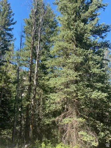 0, Duchesne, Utah 84021