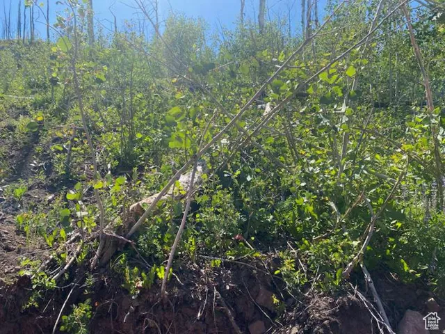 0, Duchesne, Utah 84021