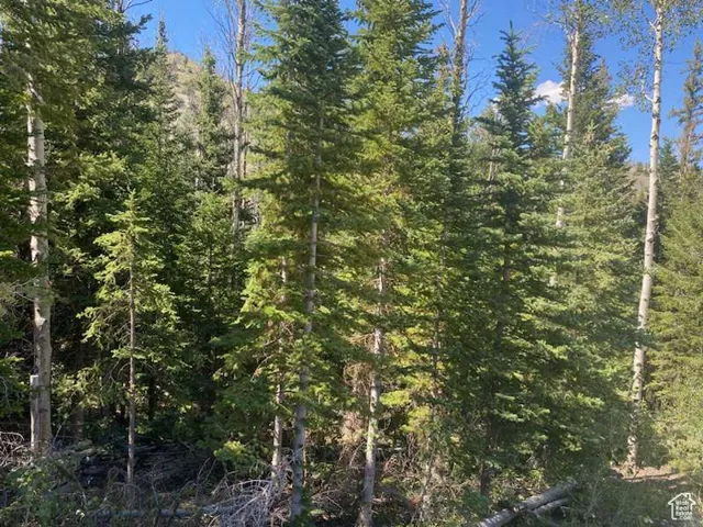 0, Duchesne, Utah 84021