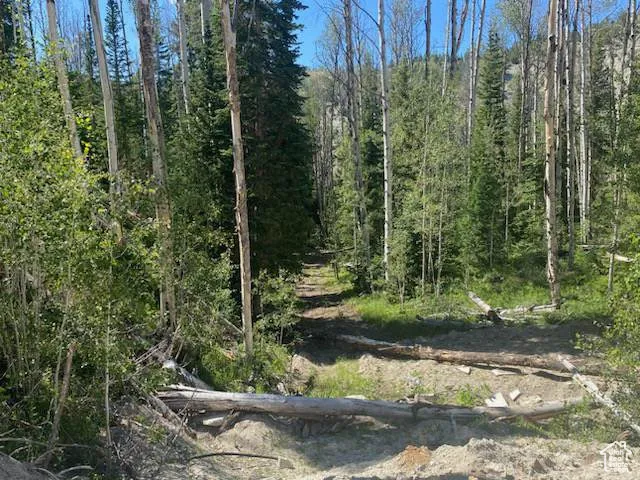 0, Duchesne, Utah 84021