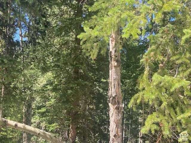0, Duchesne, Utah 84021