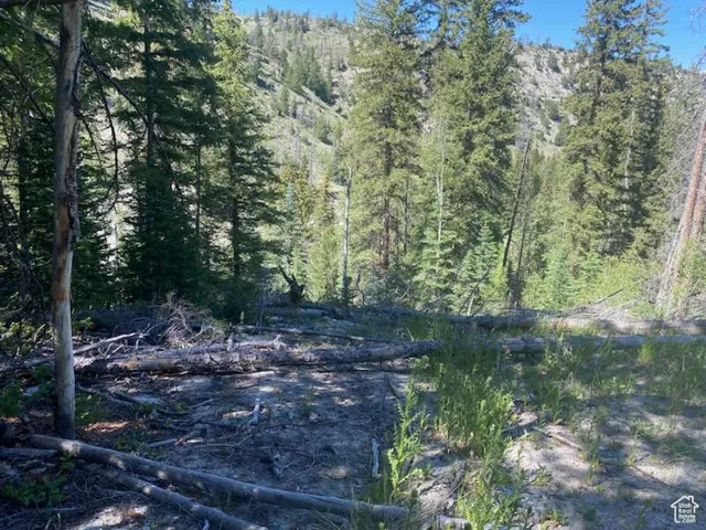 0, Duchesne, Utah 84021