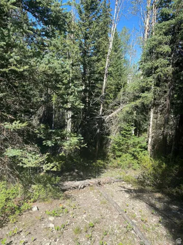 0, Duchesne, Utah 84021