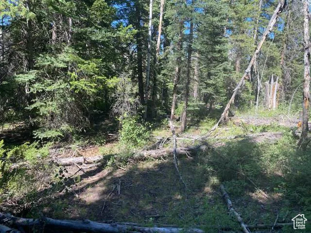0, Duchesne, Utah 84021