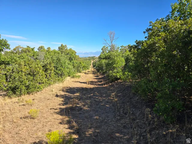 , Elk Ridge, Utah 84651