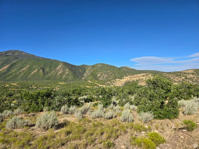 , Elk Ridge, Utah 84651