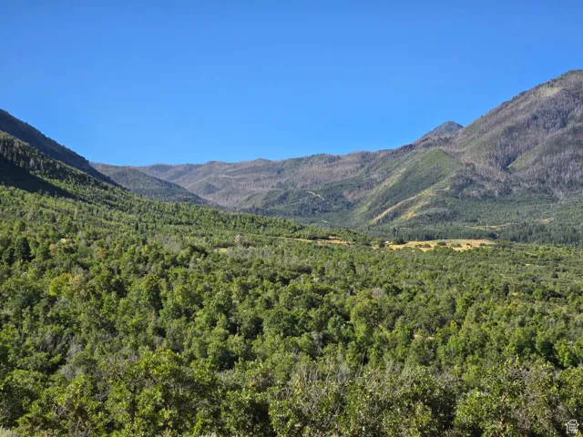 , Elk Ridge, Utah 84651