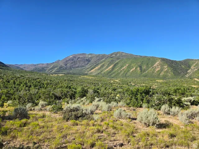 , Elk Ridge, Utah 84651