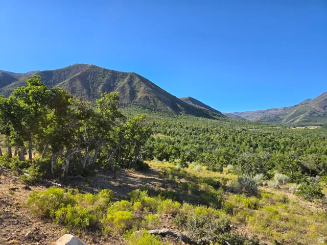 , Elk Ridge, Utah 84651