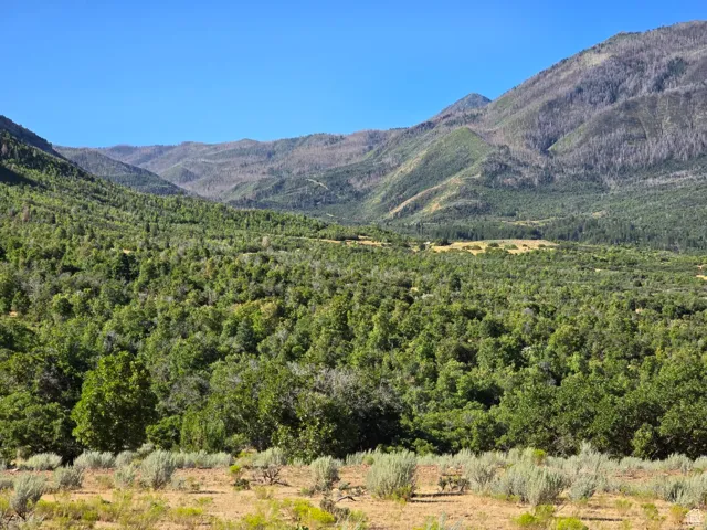 , Elk Ridge, Utah 84651