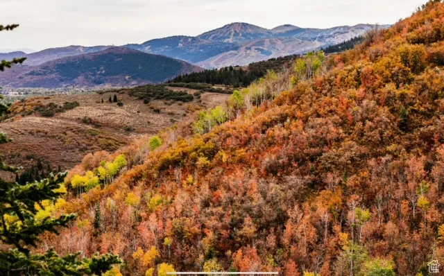 7827 Tall Oaks Dr, Park City, Utah 84098