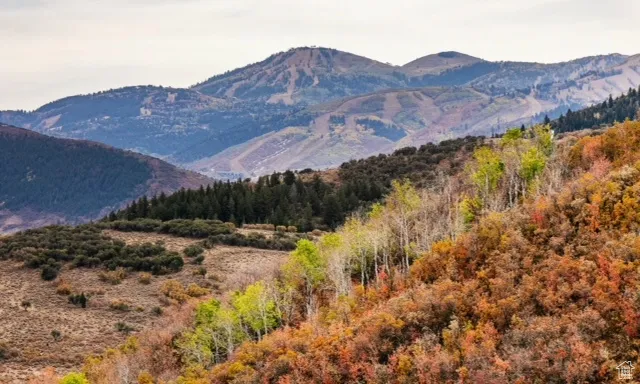 7827 Tall Oaks Dr, Park City, Utah 84098