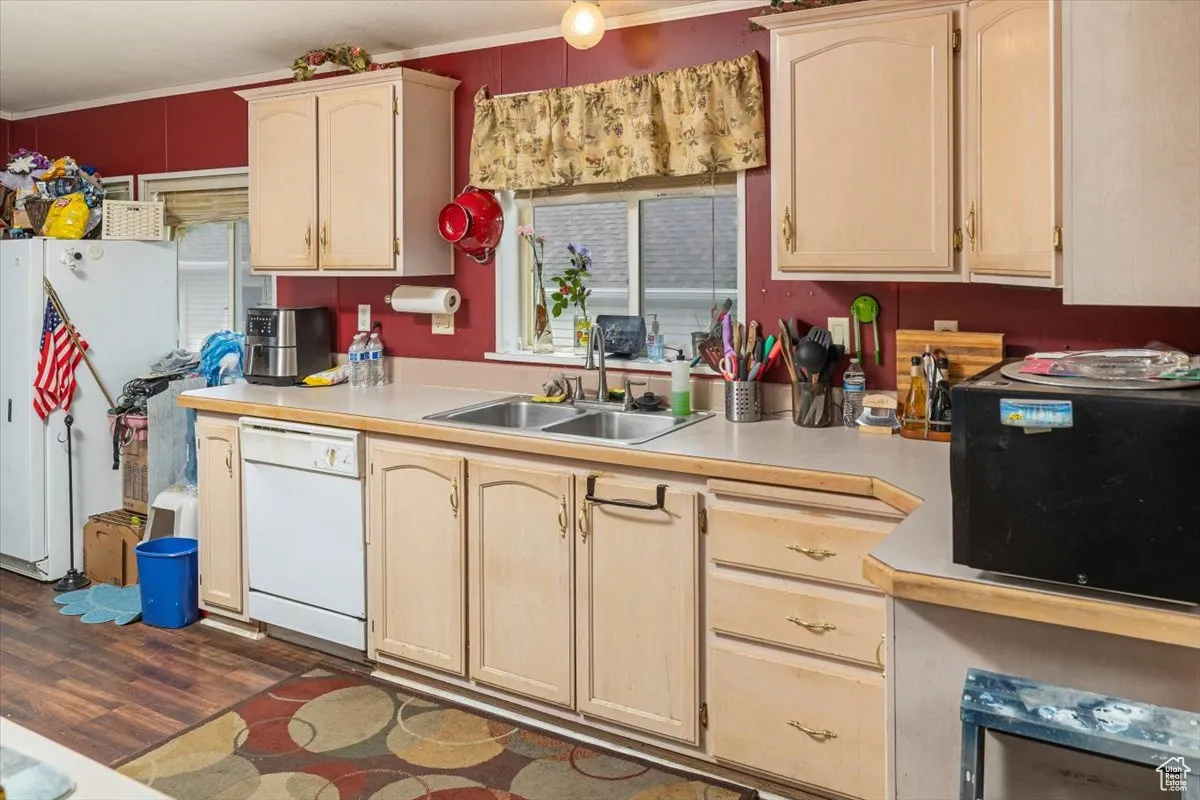 Kitchen with white appliances, sink, dark hardwood / wood-style floors, light brown cabinetry