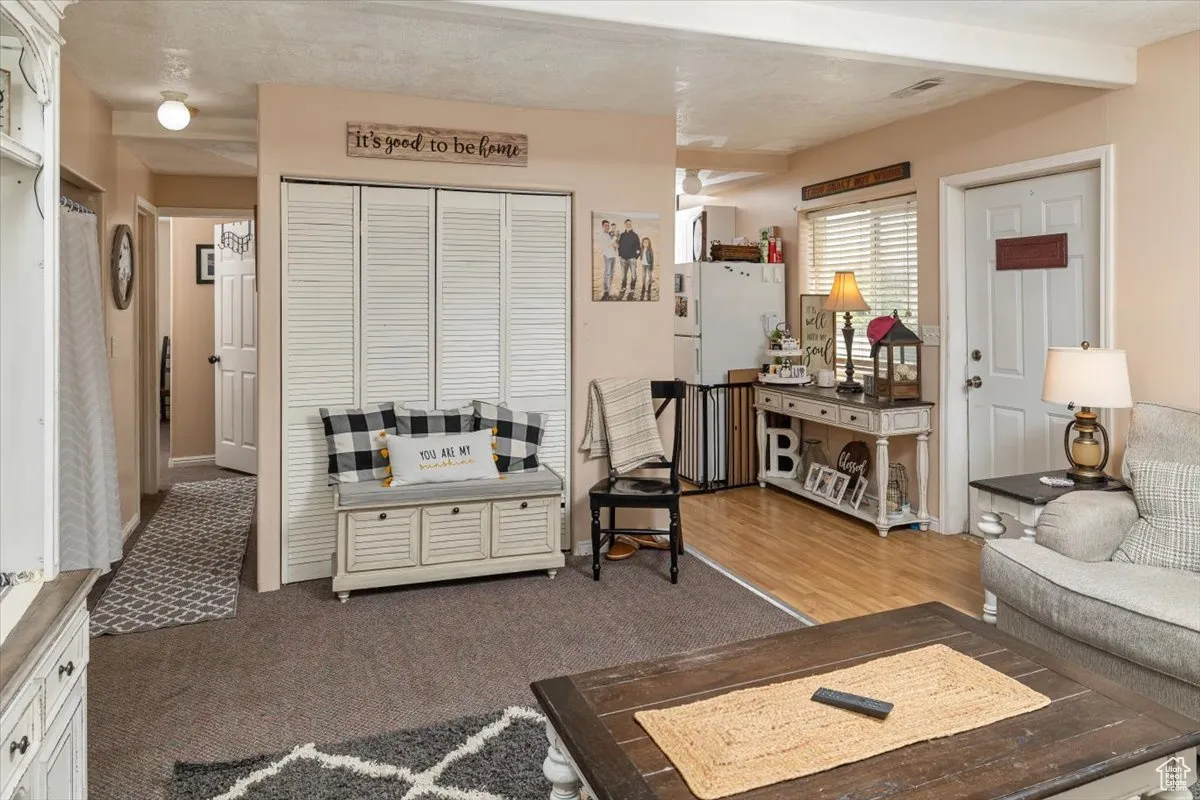 Living Room (Basement)