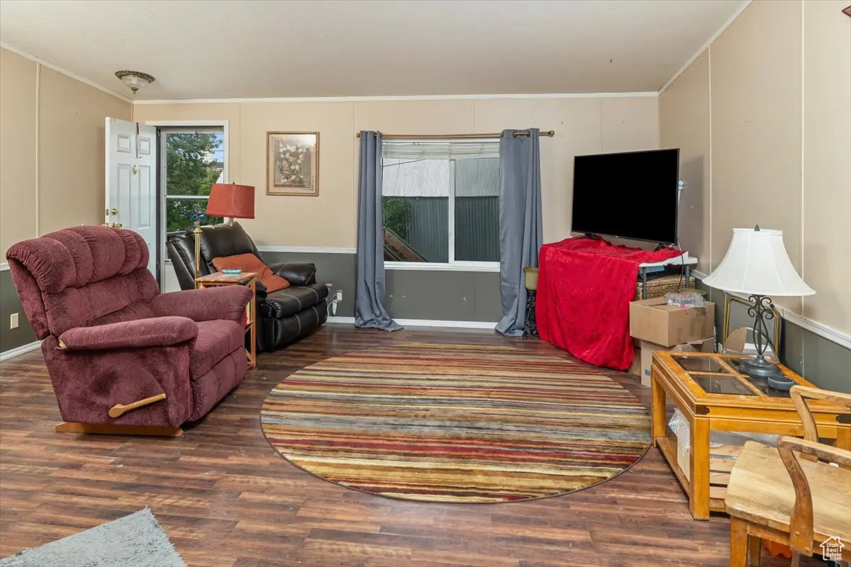 Living room featuring dark wood-type flooring