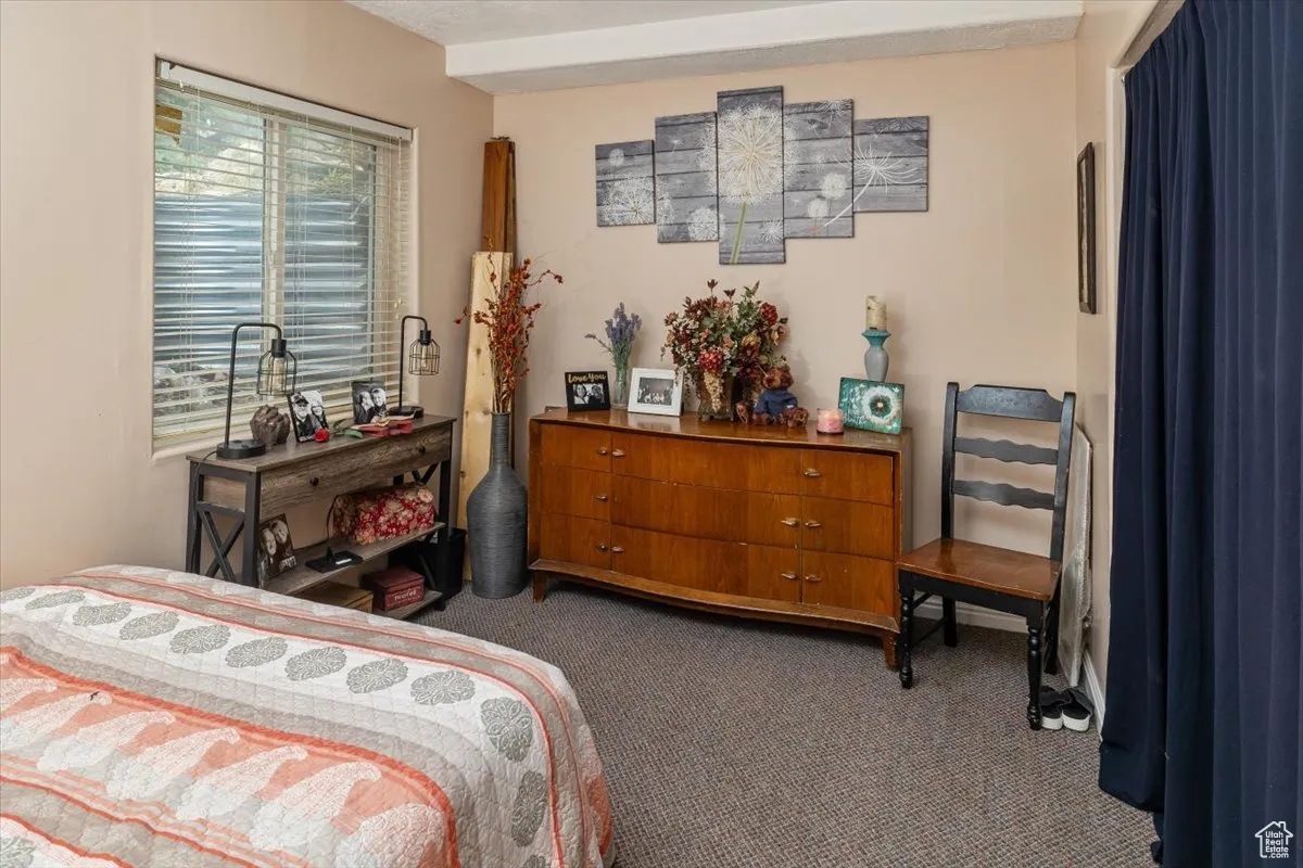 Bedroom 1 (Basement)
