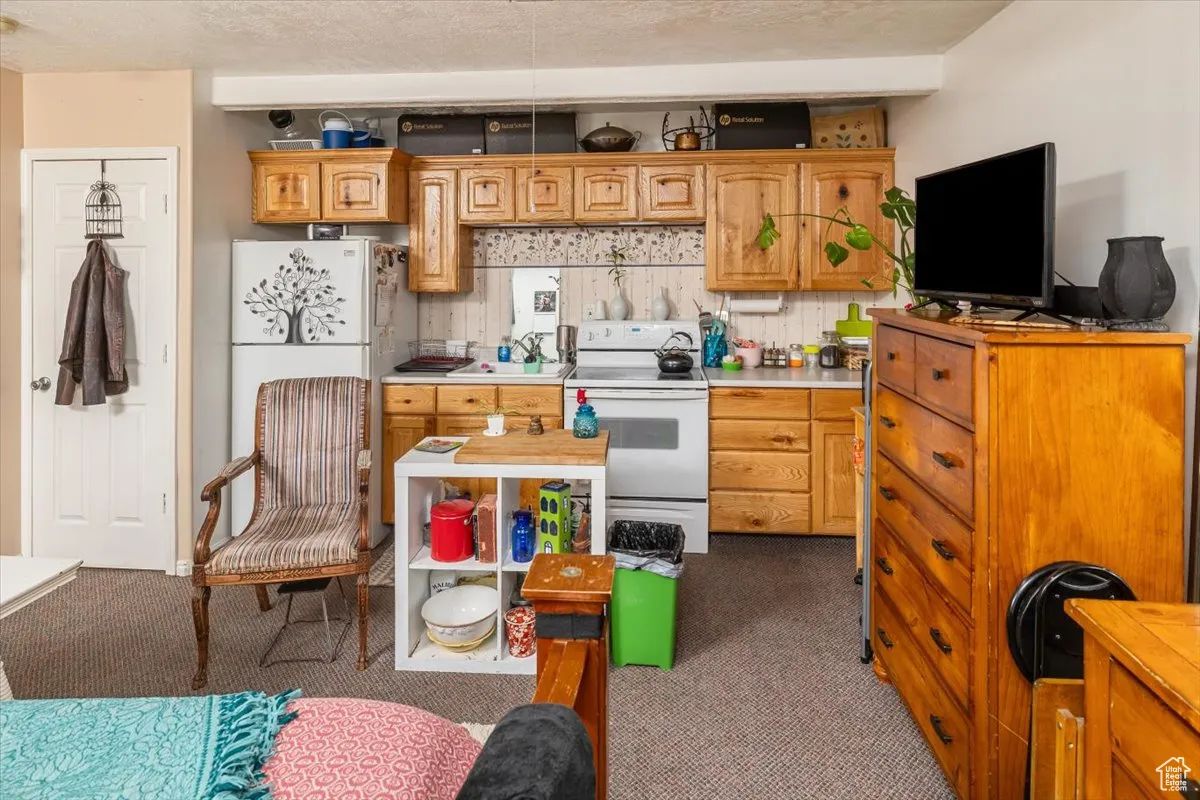 Kitchen 2 (Mother-in-law)