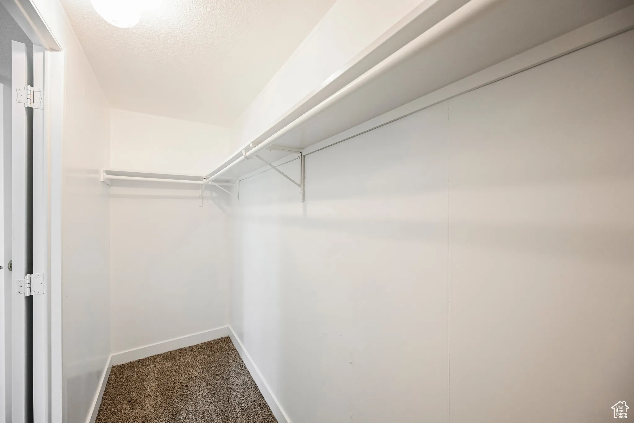 Spacious closet featuring carpet