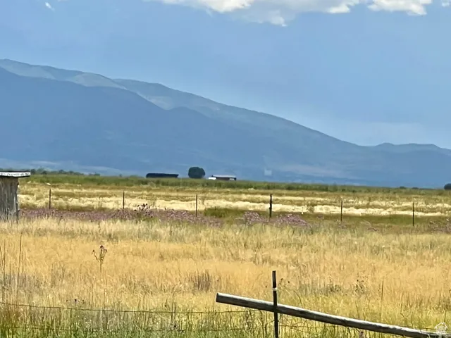 View from front porch
