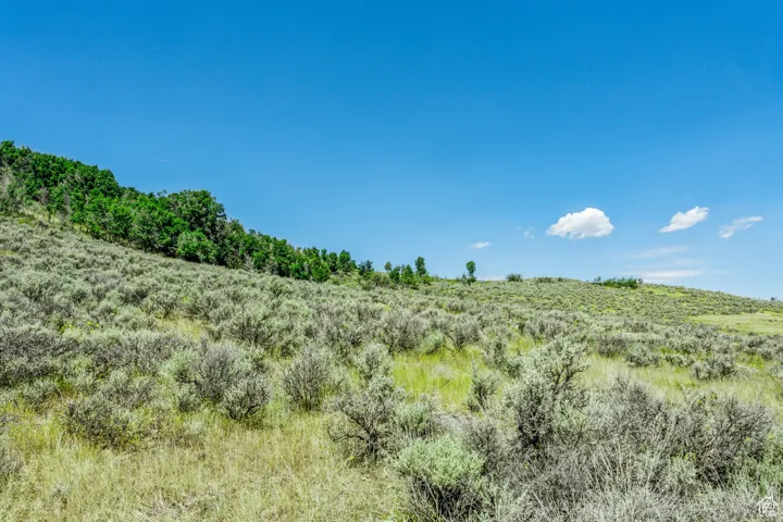 6237 Painted Valley Pass, Park City, Utah 84098