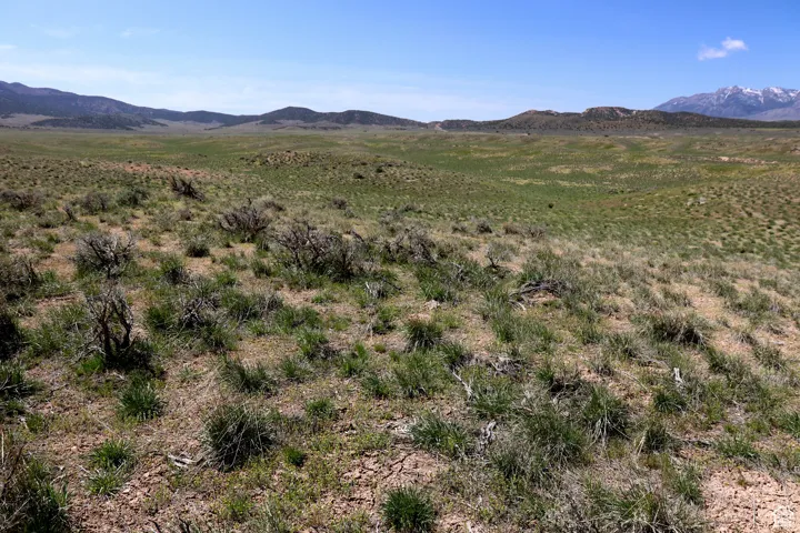 9420 W Lakeside Cir, Levan, Utah 84639