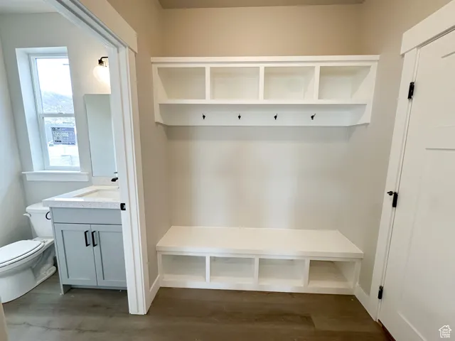 Mudroom featuring dark wood-style flooring and a sink