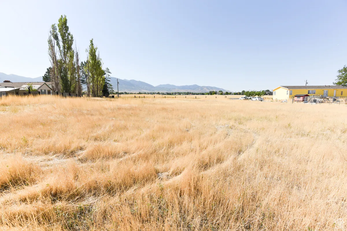 View of yard with a rural view and a mountain view