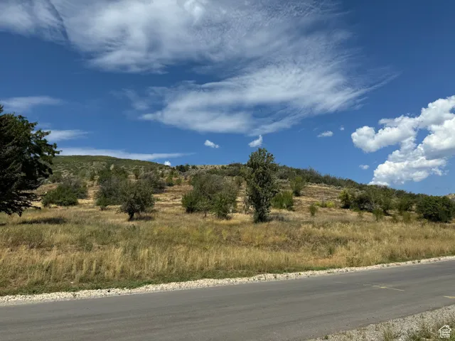 View of road