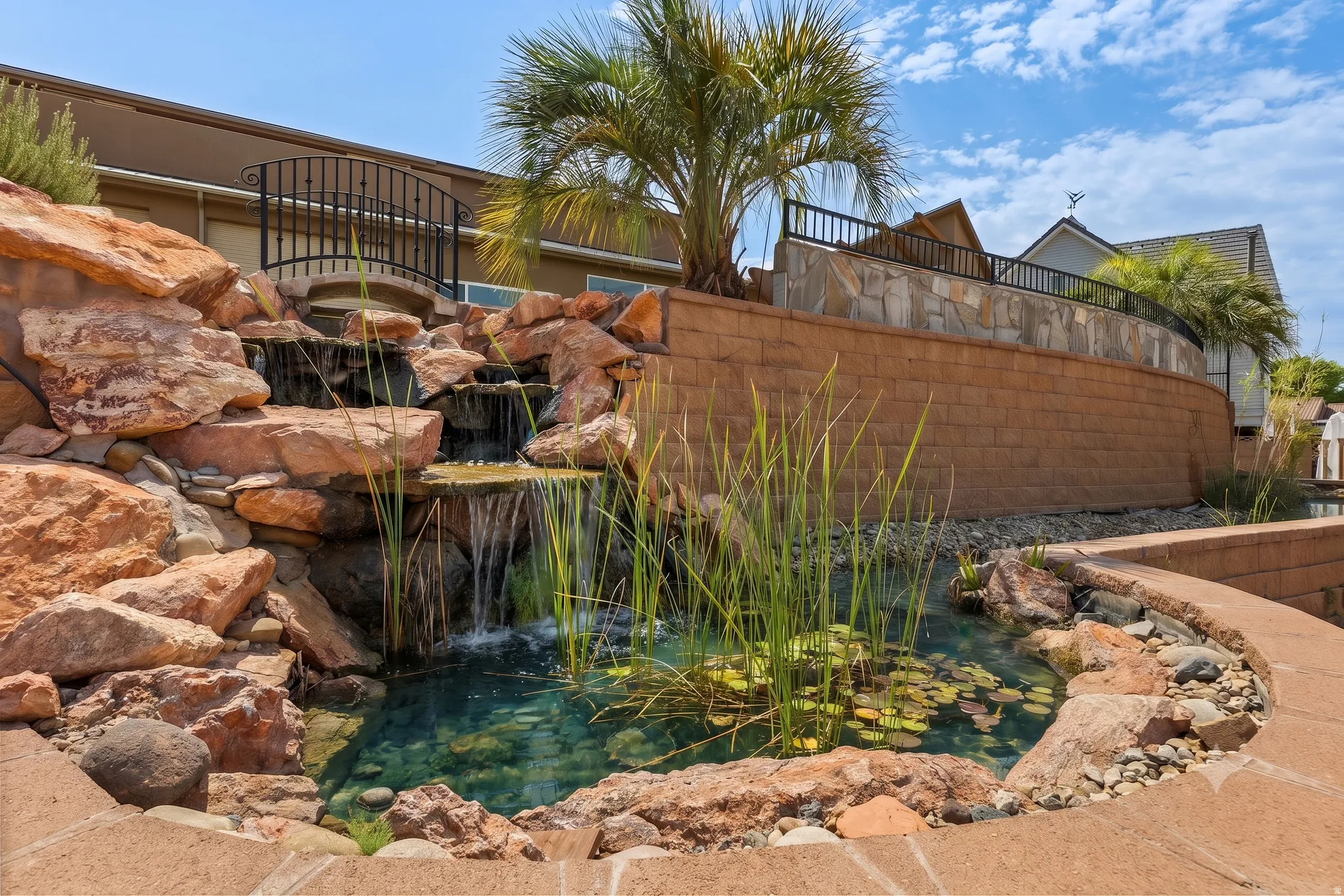 The living system behind the pool: a planted regeneration basin and waterfall keeping it clear, chemical-free, year-round.
