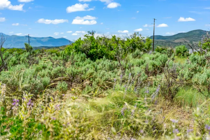 10 S Skyline View Dr, Heber City, Utah 84032