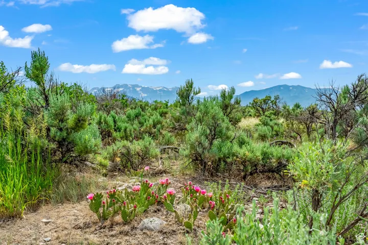 10 S Skyline View Dr, Heber City, Utah 84032