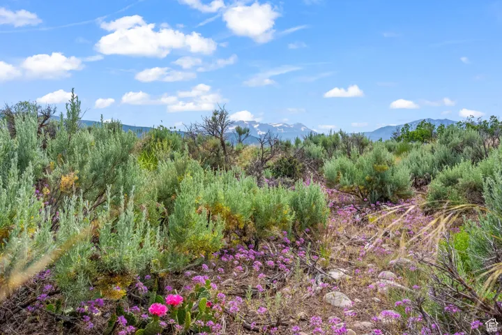 11 S Skyline View Dr, Heber City, Utah 84032