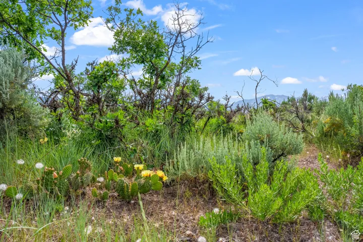 11 S Skyline View Dr, Heber City, Utah 84032
