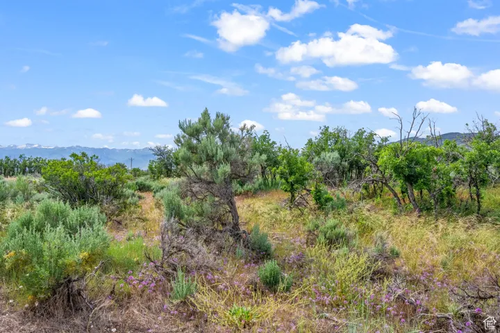 11 S Skyline View Dr, Heber City, Utah 84032