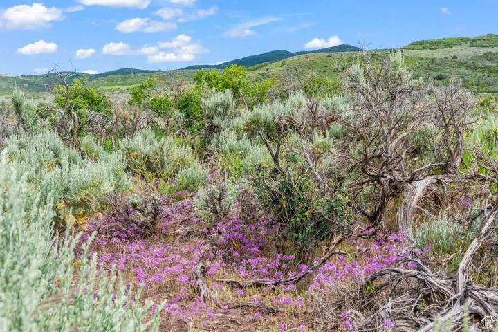 11 S Skyline View Dr, Heber City, Utah 84032