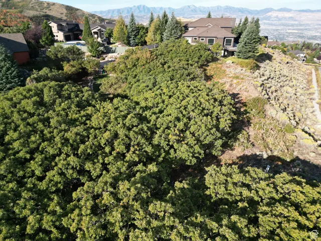 1463 E Meadow Bluff, Draper, Utah 84020