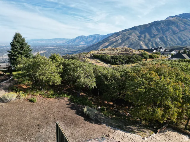 1463 E Meadow Bluff, Draper, Utah 84020